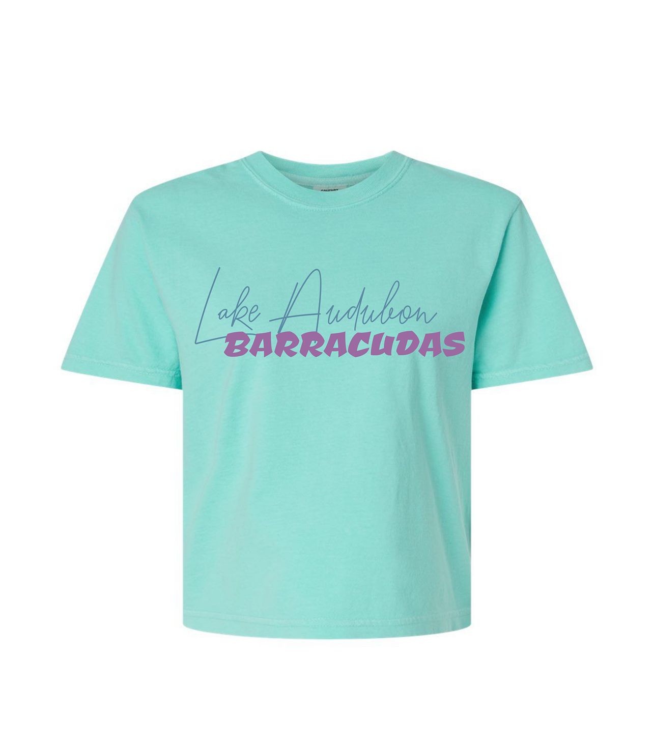 Barracudas Swim Mom Adult Comfort Colors® Boxy T-Shirt | Relaxed Vintage Swim Graphic Tee
