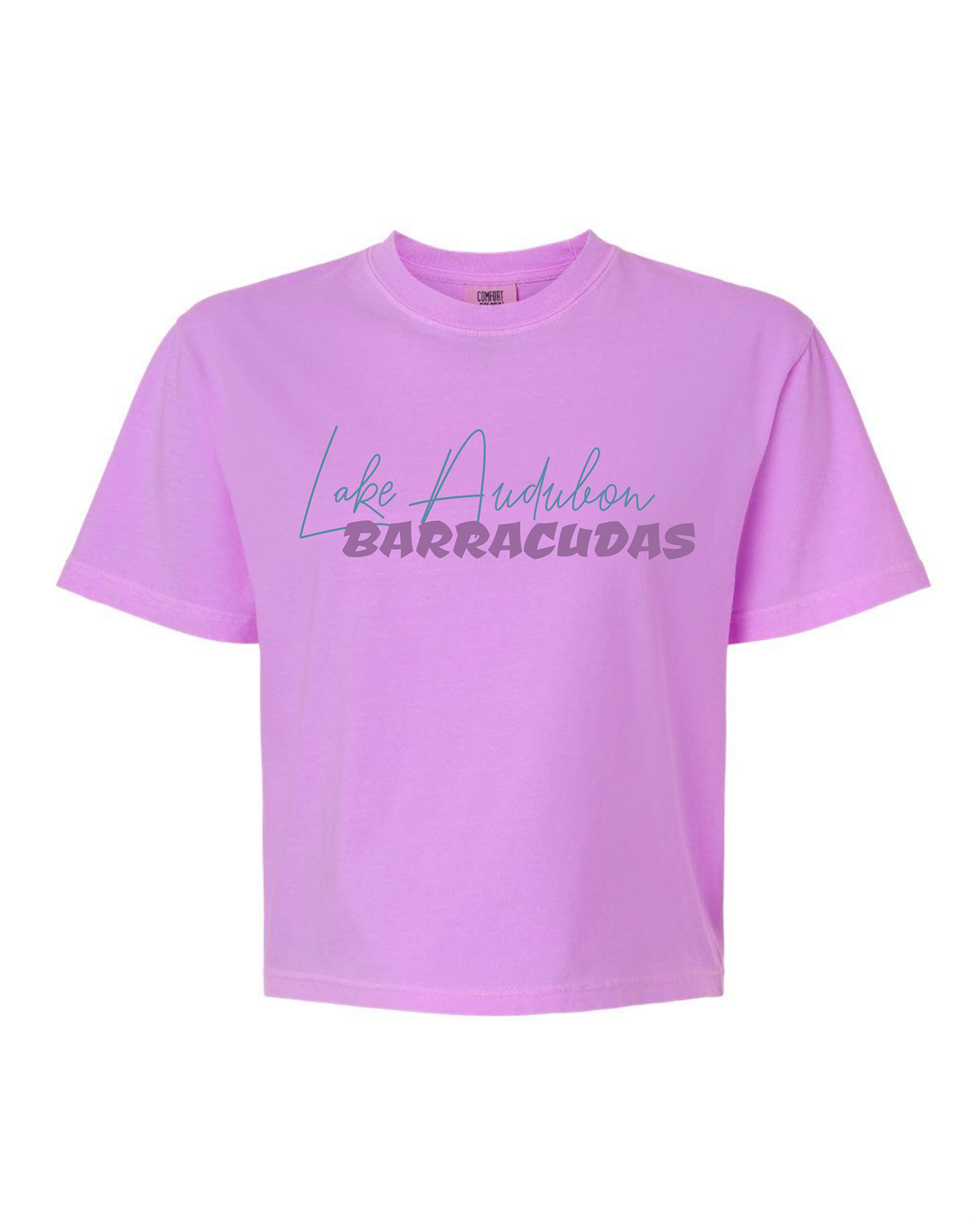 Barracudas Swim Mom Adult Comfort Colors® Boxy T-Shirt | Relaxed Vintage Swim Graphic Tee