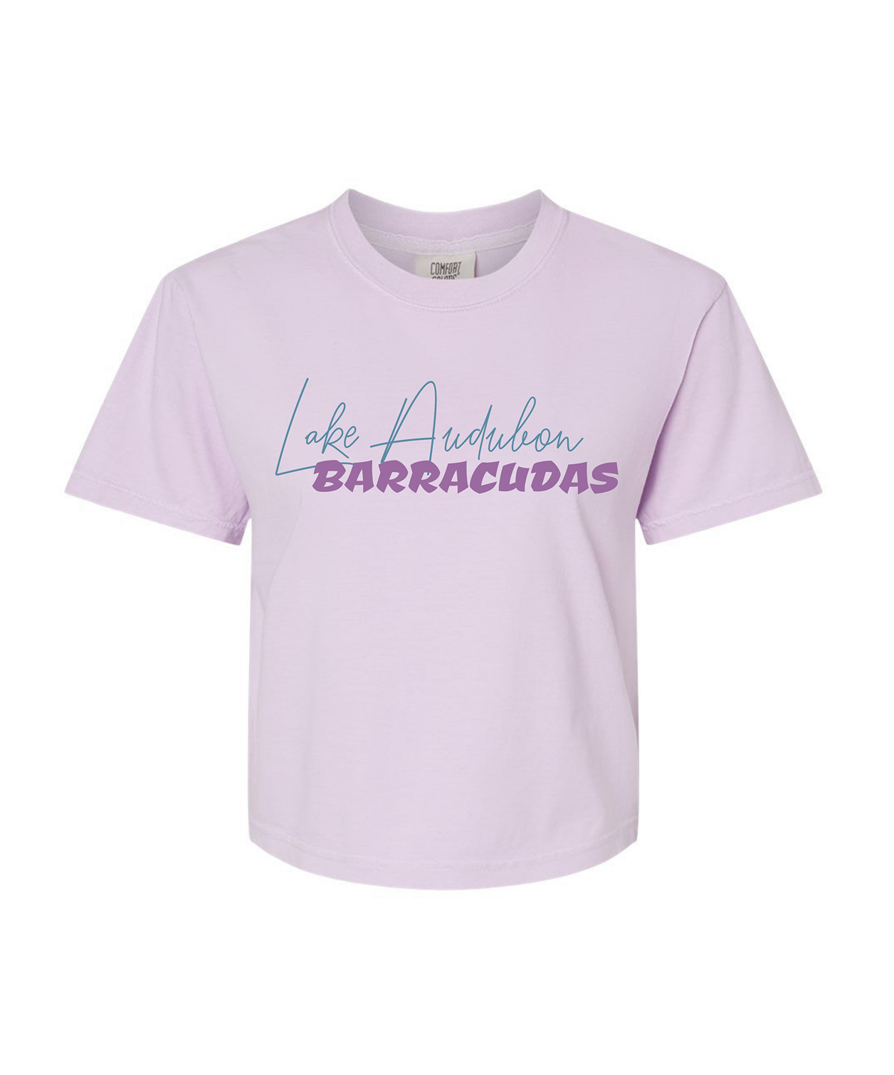 Barracudas Swim Mom Adult Comfort Colors® Boxy T-Shirt | Relaxed Vintage Swim Graphic Tee
